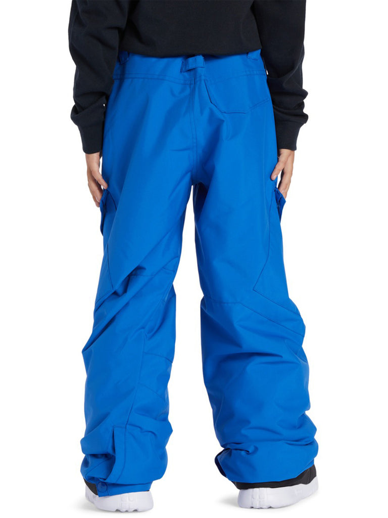 DC BANSHEE SNOWBOARD PANT – Ernie's Sports Experts