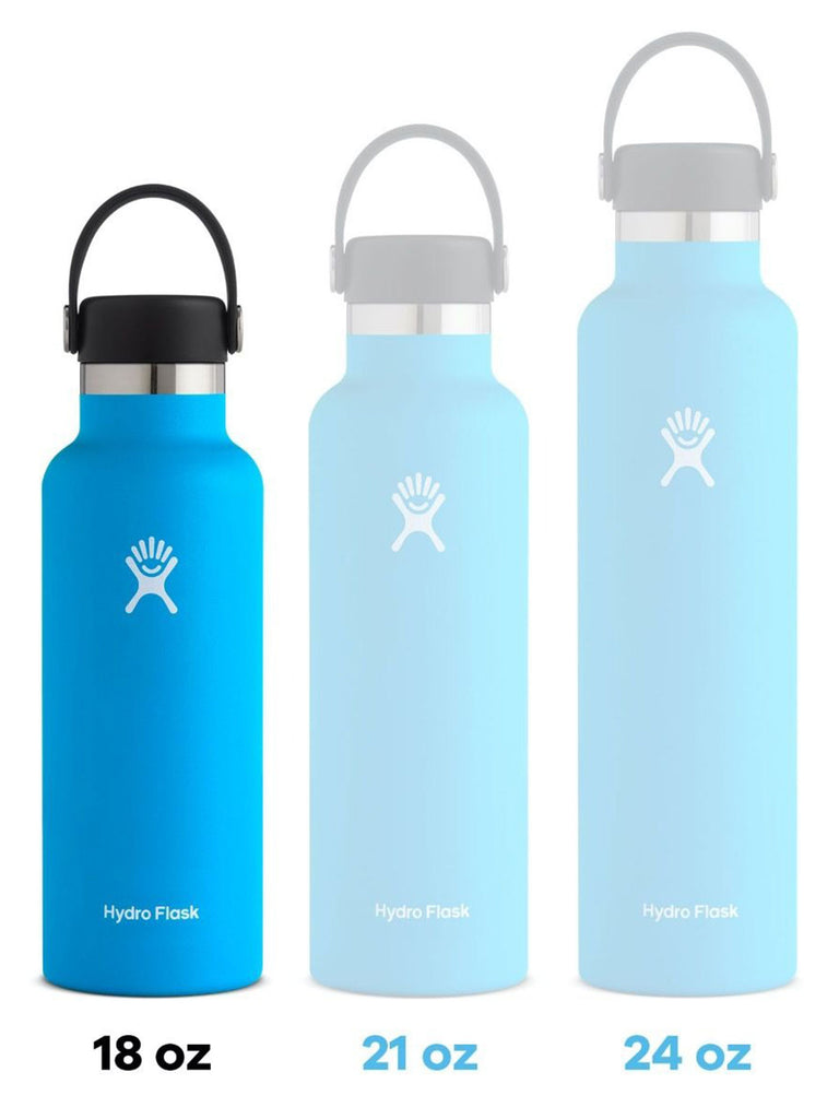 Hydro flask 2025 18 oz bottle