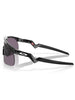 Oakley Resistor Polished Black/Prizm Grey Sunglasses
