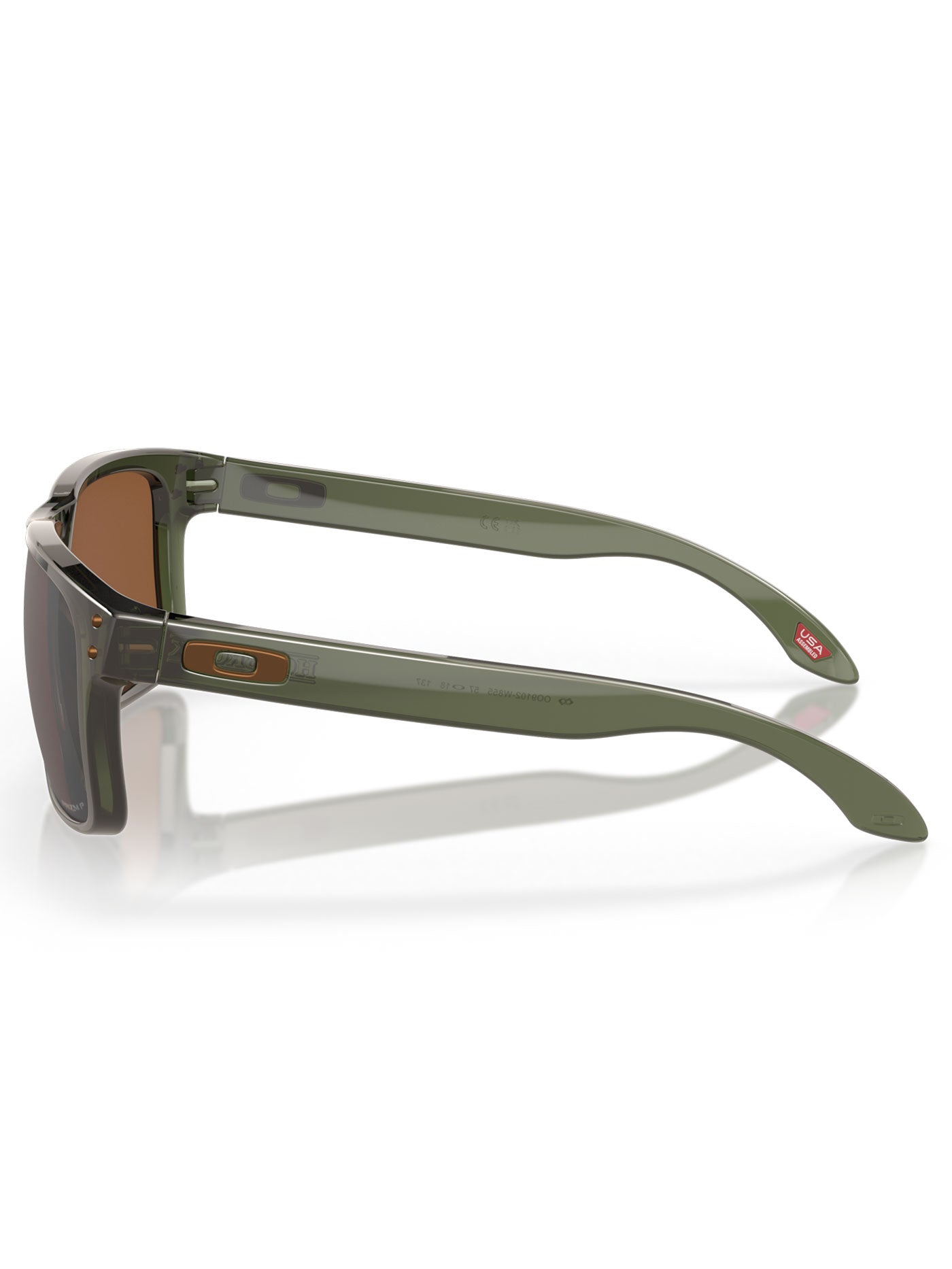 Oakley Holbrook Olive Ink/Prizm Tungsteen Sunglasses