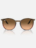 Ray-Ban ORB2204 Striped Brown Red/Pink Black Sunglasses