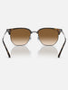 Ray Ban 2024 New Clubmaster Havana On Gunmetal/Brown Gradient Sunglasses