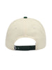 Obey Delta 5 Panel Snapback Hat