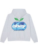 Obey Intercontinental Extra Heavy Hoodie Fall 2026