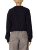 Obey Studios Cropped Crewneck Sweatshirt Fall 2025