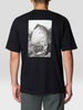 Mountain Hardwear Cottonwood Photo T-Shirt Spring 2026