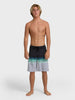 Billabong All Day Stripe Pro Boardshorts Spring 2026