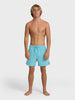 Billabong All Day Layback Boardshorts Spring 2026