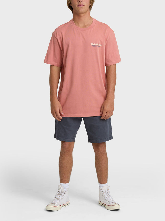 Billabong Tailgating Premium T-Shirt Spring 2026 | ASH ROSE (ASR)