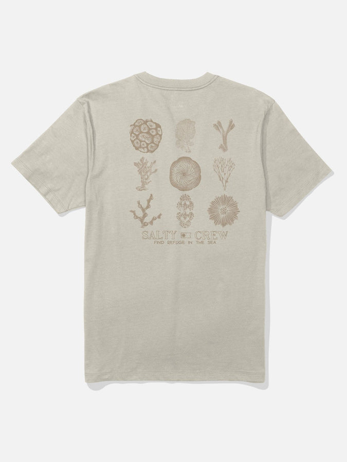 Salty Crew Coral Head T-Shirt Spring 2026 | BONE