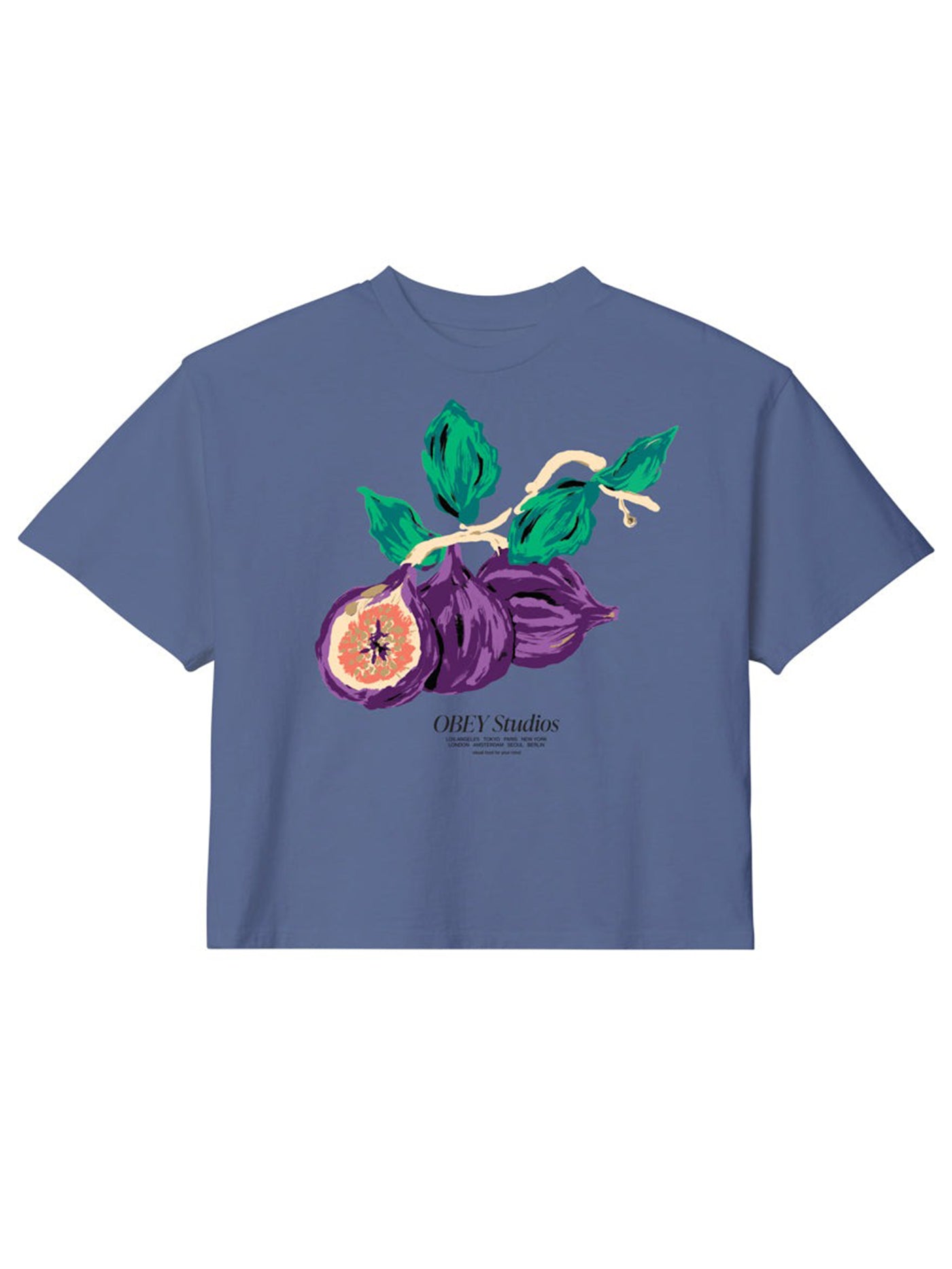 Obey Food For Your Mind Women T-Shirt Spring 2024