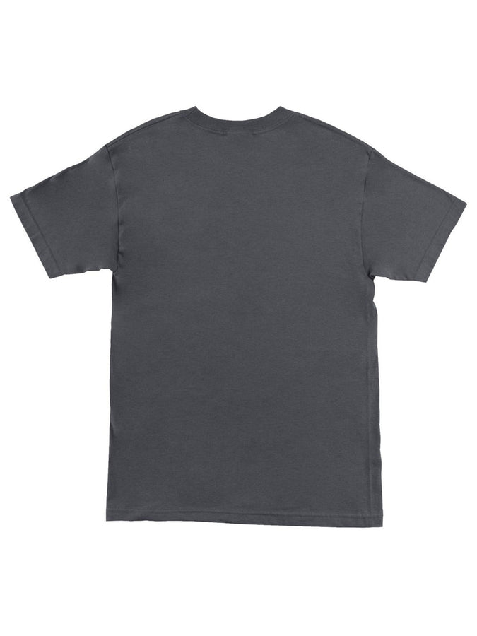 Santa Cruz Cruz Embroidered T-Shirt Spring 2026 | CHARCOAL/TAN