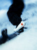 Union Reset Pro Snowboard Boots 2026
