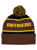 Anti-Hero Ice Cold Pom Beanie