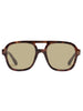 Aire Whirlpool Dark Tort/Khaki Sunglasses