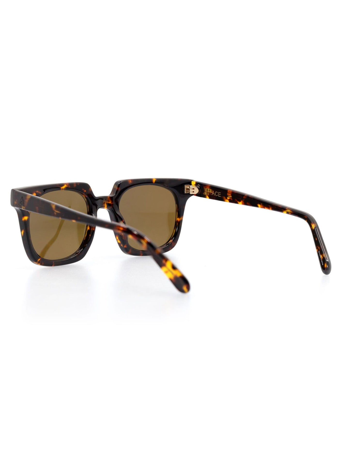 Ashbury Ace Tortoise Sunglasses