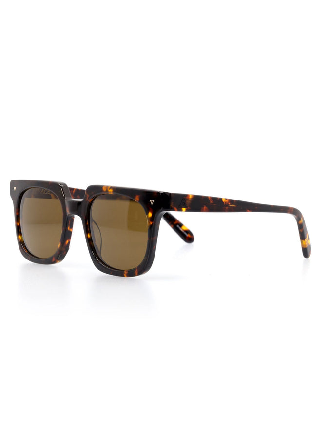 Ashbury Ace Tortoise Sunglasses | TORTOISE