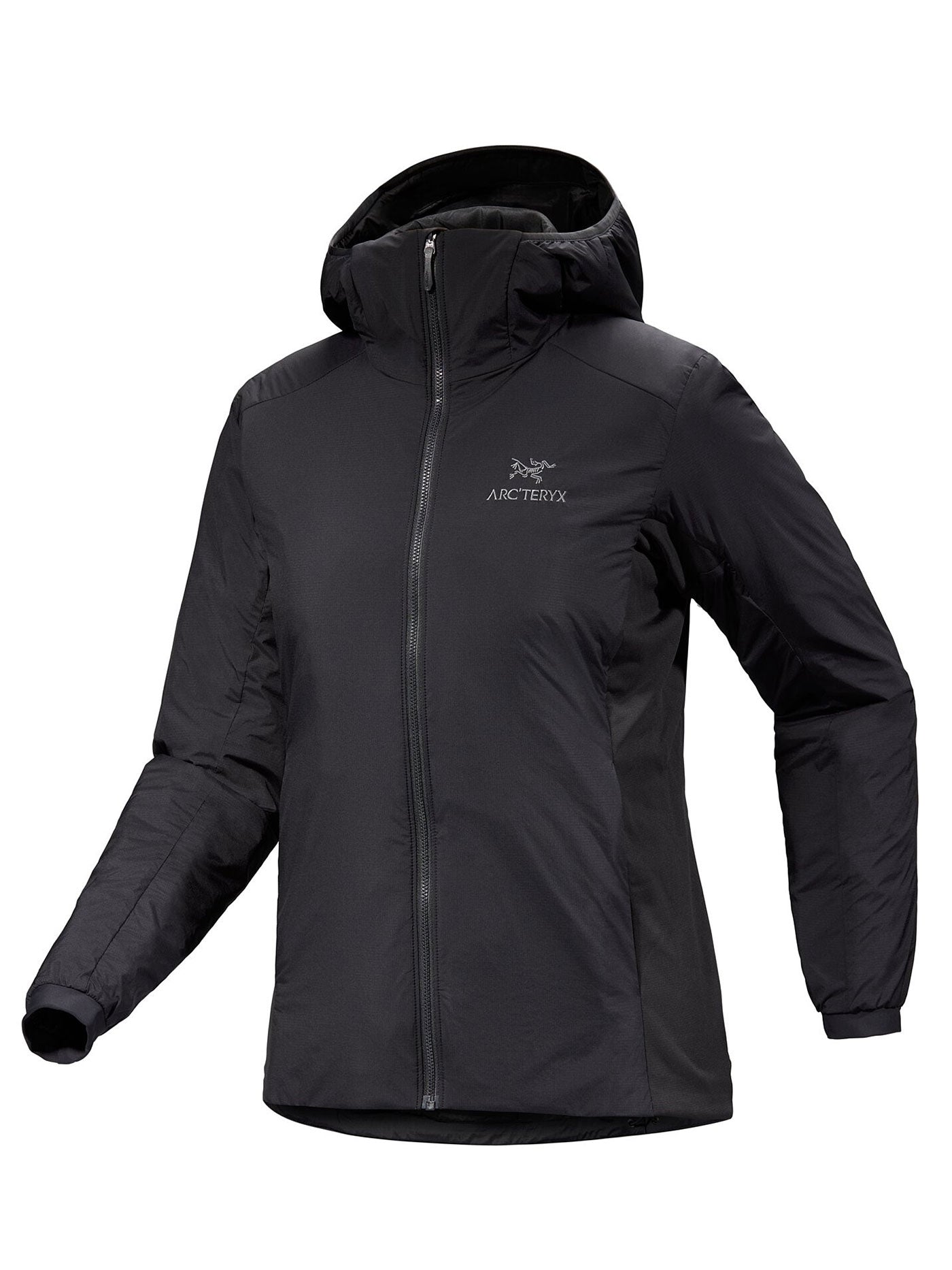 Arc'teryx Atom Hoody Jacket Winter 2025