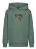Billabong Inferno Tiger Hoodie Fall 2026