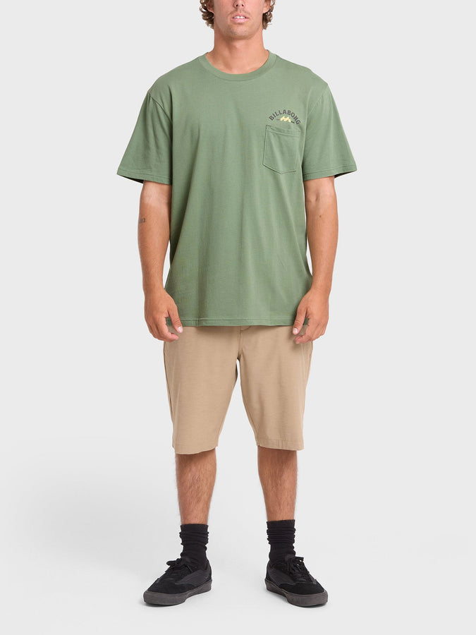 Billabong Foundry Premium T-Shirt Fall 2026 | HEDGE GREEN (HEG)
