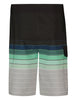 Billabong All Day Stripe Pro Boardhsorts Spring 2026