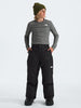 The North Face Freedom Insulated Pants (Youth 7-14) Winter 2026