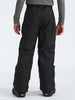 The North Face Freedom Insulated Pants (Youth 7-14) Winter 2026