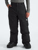 The North Face Freedom Insulated Pants (Youth 7-14) Winter 2026