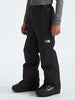The North Face Freedom Insulated Pants (Youth 7-14) Winter 2026