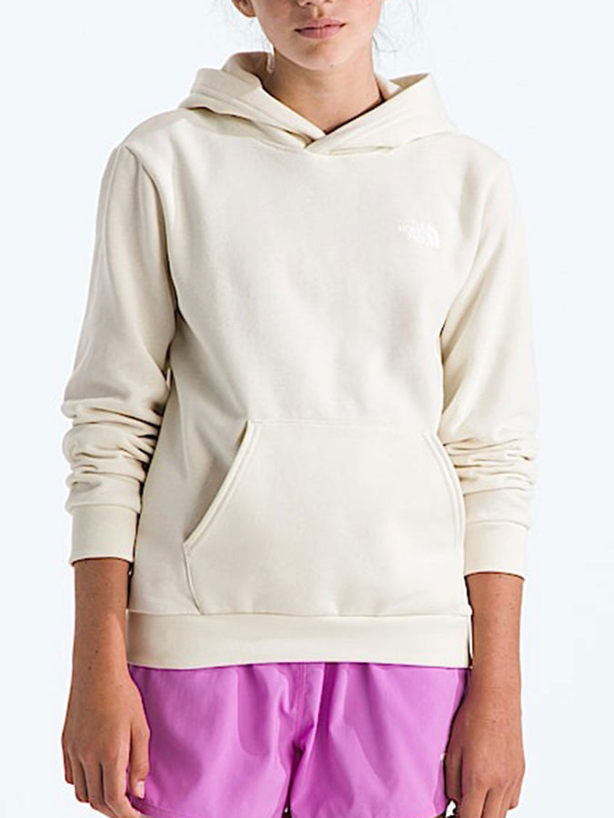 The North Face Evolution Box Nse Hoodie | WHITE DUNE (QLI)
