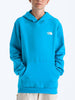 The North Face Evolution Box Nse Hoodie