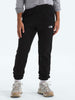 The North Face Evolution Emb Pants
