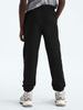 The North Face Evolution Emb Pants