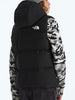 The North Face Noth Down Hooded Vest
