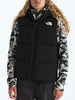 The North Face Noth Down Hooded Vest