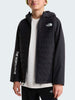 The North Face Never Stop Synthetic Jacket