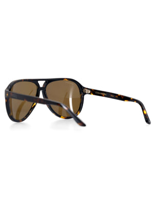 Ashbury Cosa Norte Tortoise Sunglasses