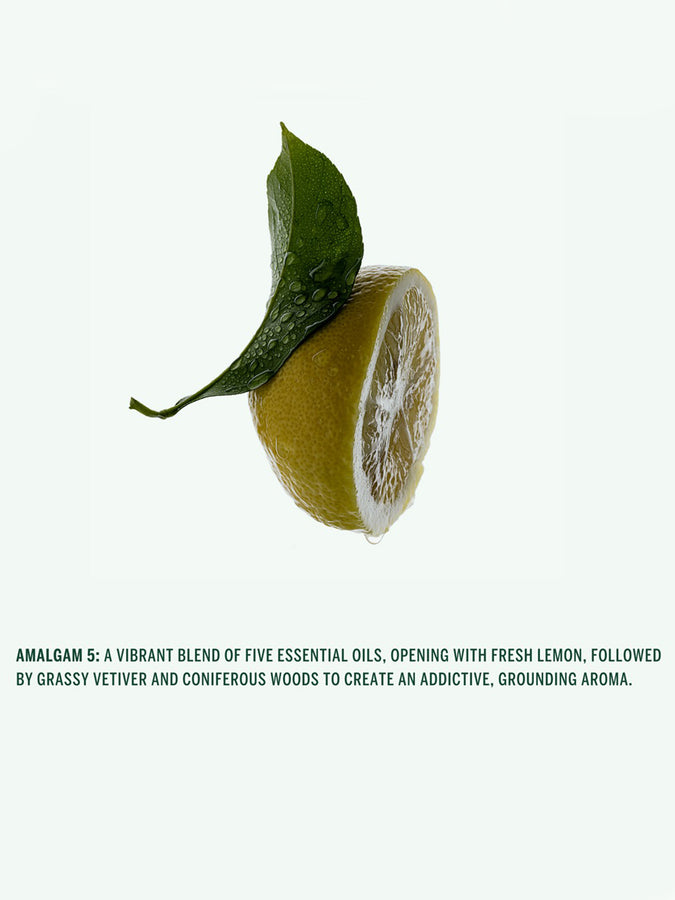 Corpus Amalgam 5 Hand Cream 2026 | ASSORTED