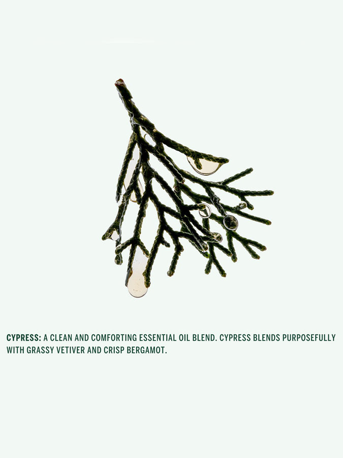 Corpus Shampoo Cypress 2026 | ASSORTED