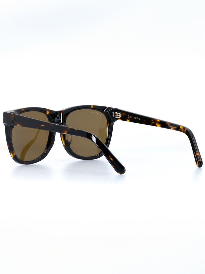 Ashbury Day Tripper Brown Tortoise Sunglasses | BROWN TORTOISE