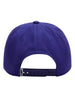 Obey Delta 5 Panel Snapback Hat