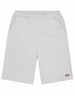 Dickies Streetsboro 13" Sweatshorts Spring 2026