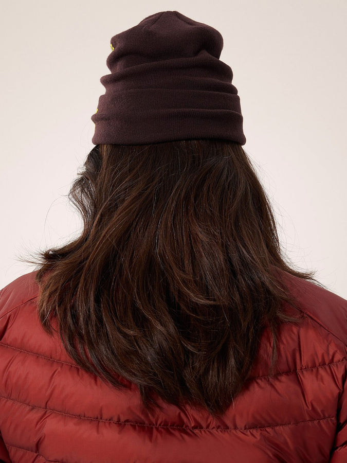 Arc'teryx Bird Word Beanie | 
 PHANTASM/EUPHORIA