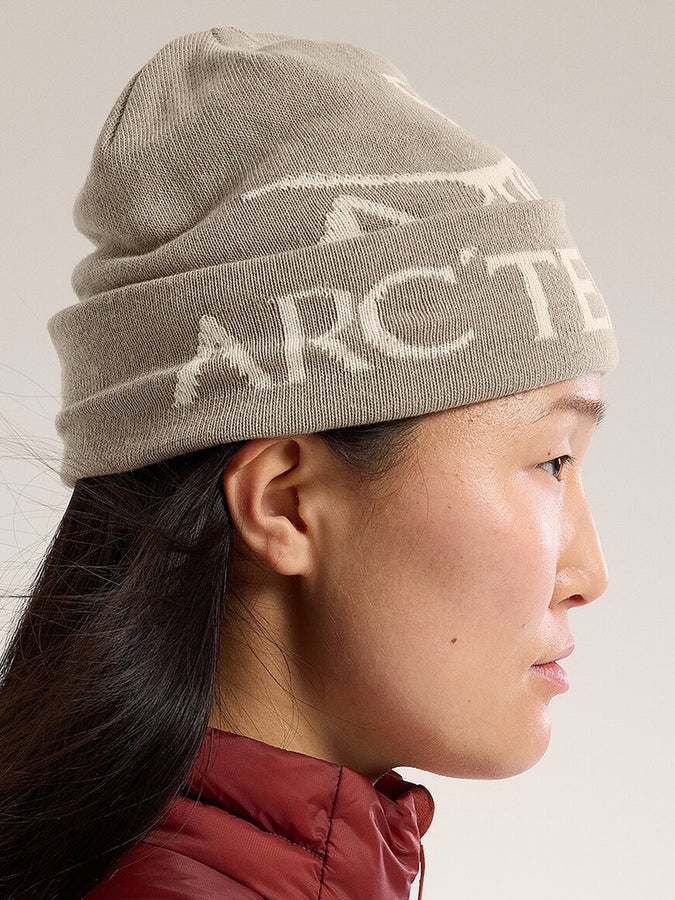 Arc'teryx Bird Word Beanie | RUNE/ARCTIC SILK