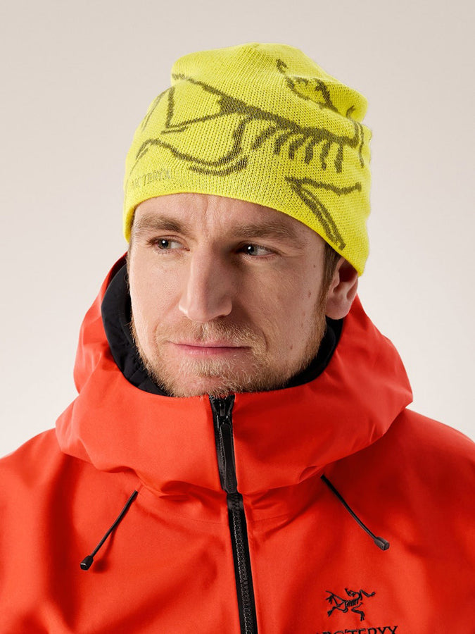 Arc'teryx Bird Head Beanie | EUPHORIA/OLIVE MOSS