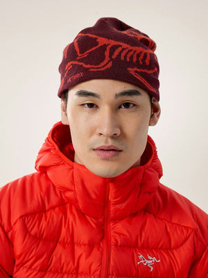 Arc'teryx Bird Head Beanie | EMPIRE