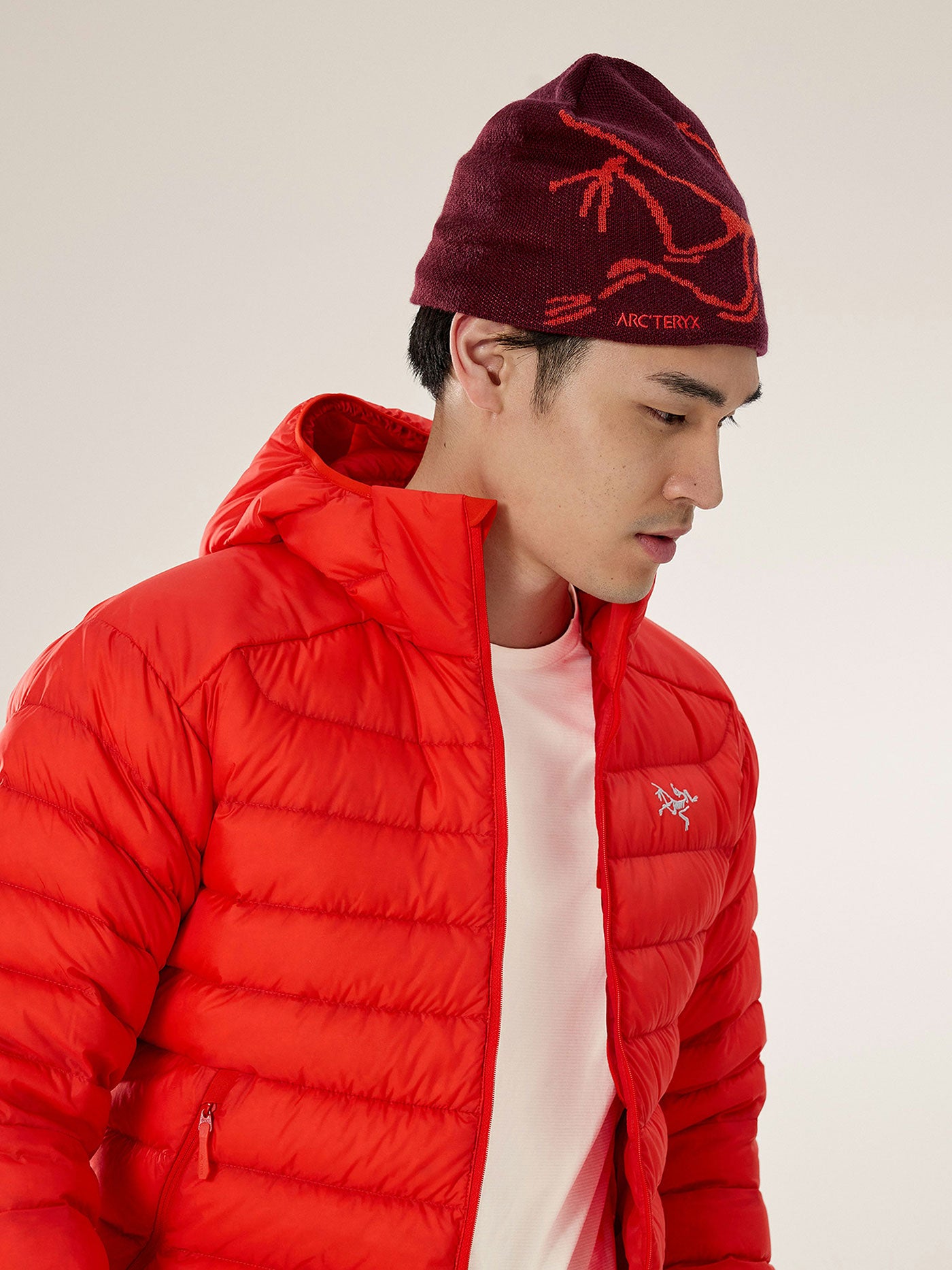 ARC'TERYX 赤　ニット帽　Bird Head Toque Bird Head Toque | Arc'teryx United States