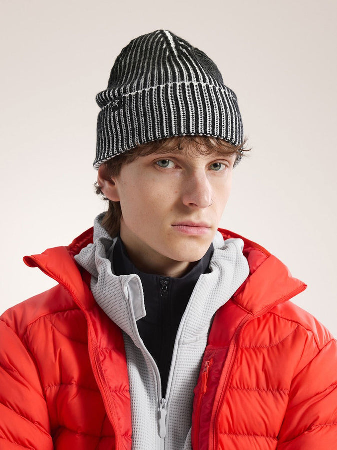 Arc'teryx Ribbed Beanie | BLACK/ARCTIC SILK