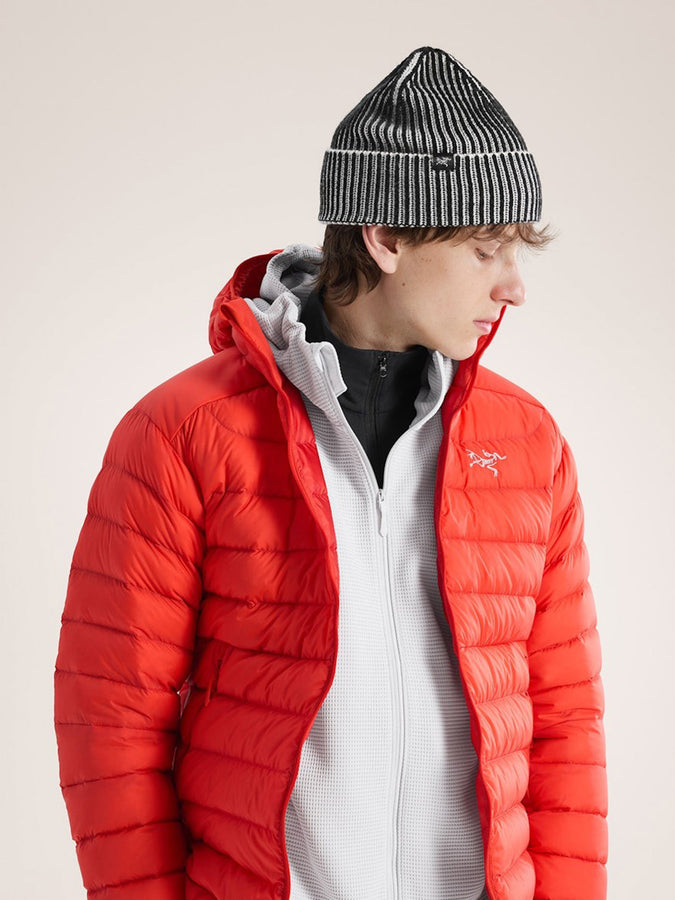 Arc'teryx Ribbed Beanie | BLACK/ARCTIC SILK