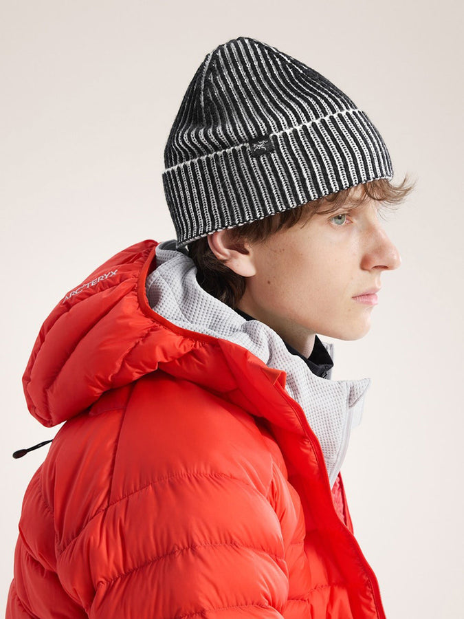 Arc'teryx Ribbed Beanie | BLACK/ARCTIC SILK
